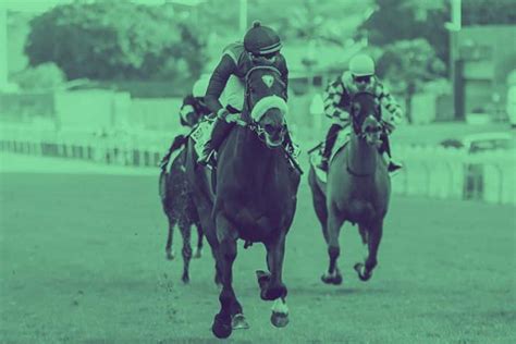 turffontein tips|greyville horse racing tips.